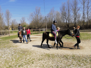 Jockey klub Hrvatske