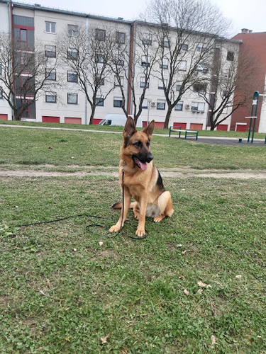 K-9 Team Zagreb